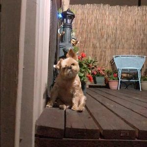 Meet your Posher, Hyang